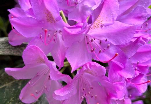 23-06-03 16-36-49 5786